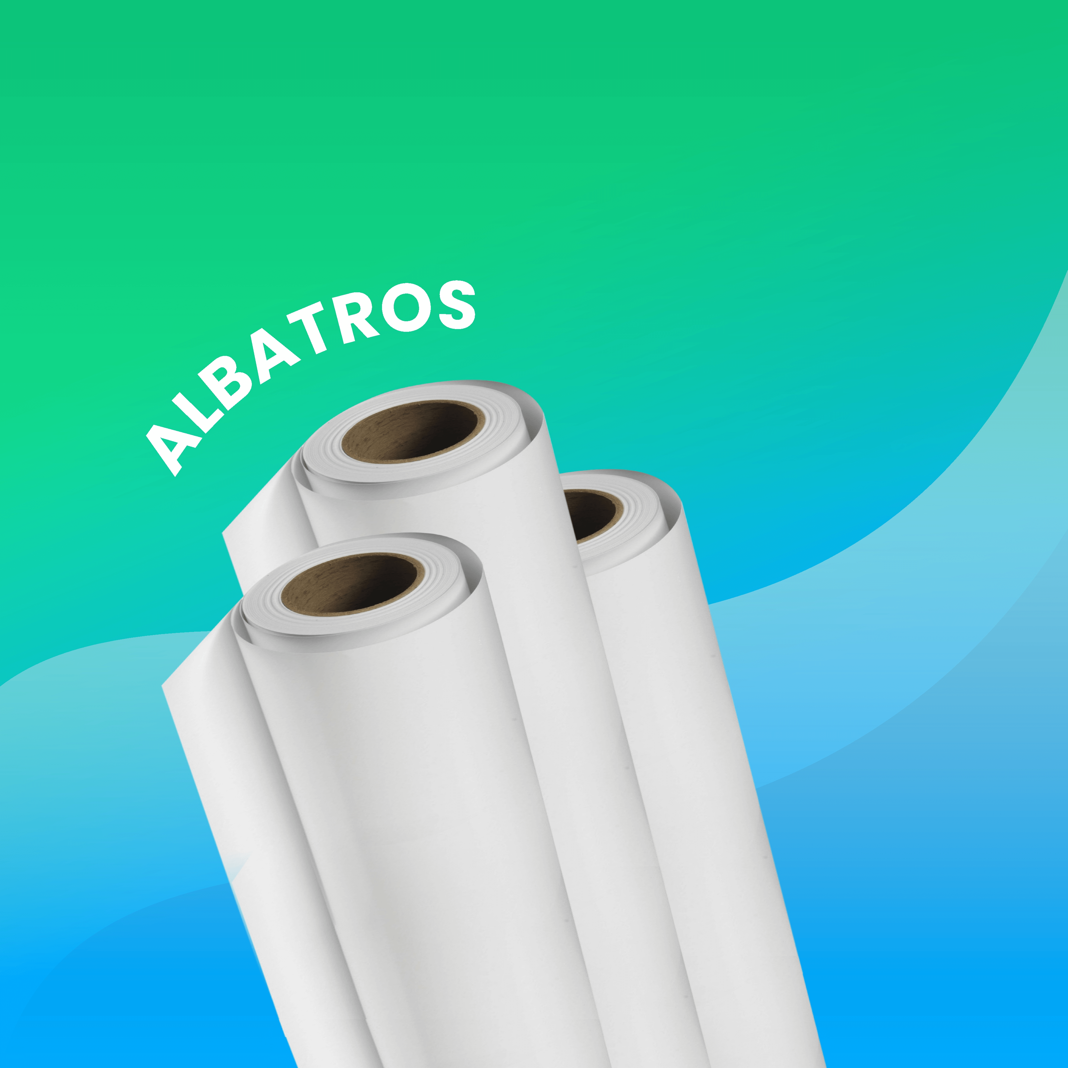 Albatros Banner