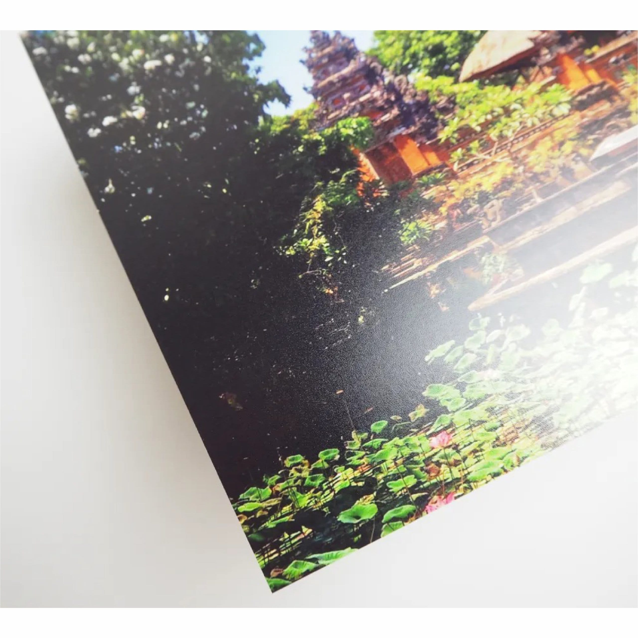 Luster Banner - Image 3